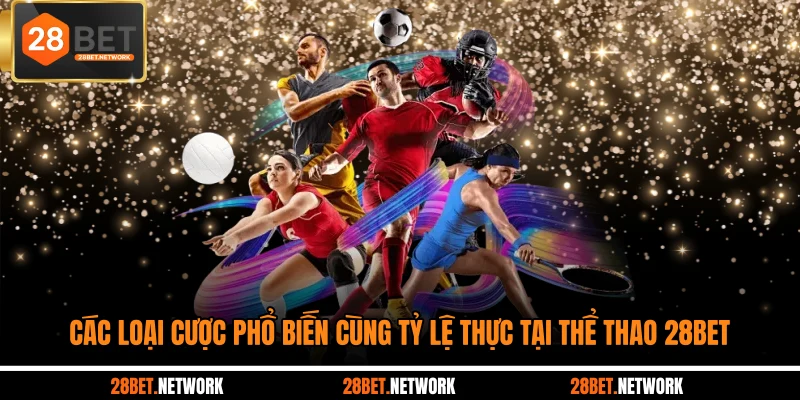 Các loại cược phổ biến cùng tỷ lệ thực tại thể thao 28BET