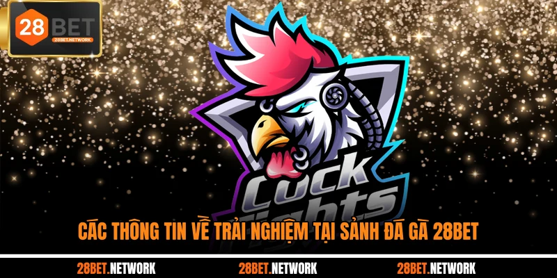 Các thông tin về trải nghiệm tại sảnh đá gà 28BET