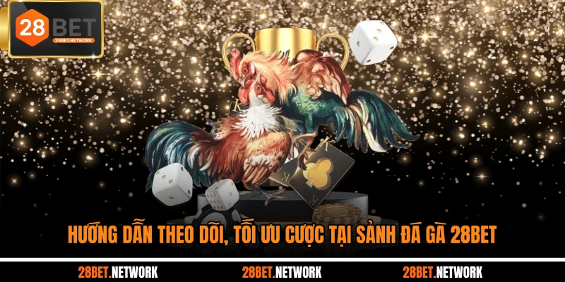 Hướng dẫn theo dõi, tối ưu cược tại sảnh đá gà 28BET